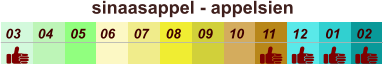 sinaasappel - appelsien  01 02 03 04 07 05 09 10 08 11 12 06