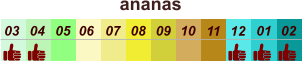 01 02 03 04 07 05 09 10 08 11 12 06 ananas
