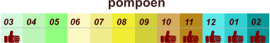 01 02 03 04 07 05 09 10 08 11 12 06 pompoen