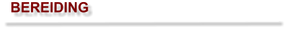 BEREIDING