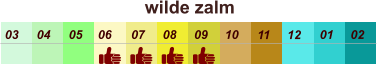 01 02 03 04 07 05 09 10 08 11 12 06 wilde zalm