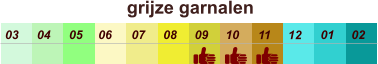 01 02 03 04 07 05 09 10 08 11 12 06 grijze garnalen