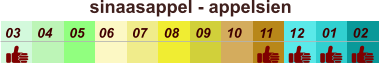 sinaasappel - appelsien  01 02 03 04 07 05 09 10 08 11 12 06