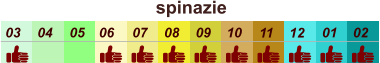spinazie  01 02 03 04 07 05 09 10 08 11 12 06