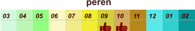 01 02 03 04 07 05 09 10 08 11 12 06 peren