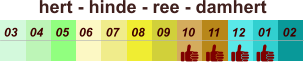 hert - hinde - ree - damhert  01 02 03 04 07 05 09 10 08 11 12 06