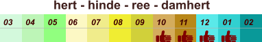 hert - hinde - ree - damhert  01 02 03 04 07 05 09 10 08 11 12 06
