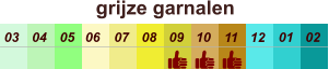 01 02 03 04 07 05 09 10 08 11 12 06 grijze garnalen