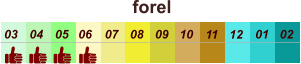 01 02 03 04 07 05 09 10 08 11 12 06 forel
