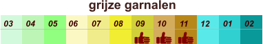 01 02 03 04 07 05 09 10 08 11 12 06 grijze garnalen