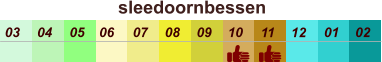sleedoornbessen  01 02 03 04 07 05 09 10 08 11 12 06
