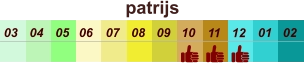 01 02 03 04 07 05 09 10 08 11 12 06 patrijs