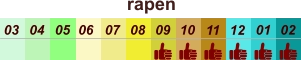 rapen  01 02 03 04 07 05 09 10 08 11 12 06