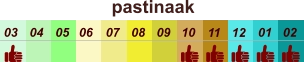 pastinaak  01 02 03 04 07 05 09 10 08 11 12 06