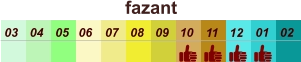 01 02 03 04 07 05 09 10 08 11 12 06 fazant