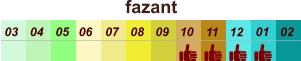 01 02 03 04 07 05 09 10 08 11 12 06 fazant