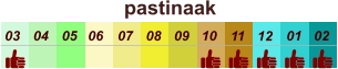 pastinaak  01 02 03 04 07 05 09 10 08 11 12 06