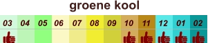 groene kool  01 02 03 04 07 05 09 10 08 11 12 06