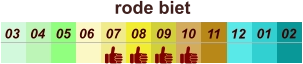 rode biet  01 02 03 04 07 05 09 10 08 11 12 06