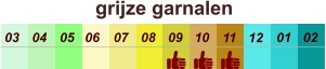 01 02 03 04 07 05 09 10 08 11 12 06 grijze garnalen