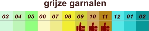 01 02 03 04 07 05 09 10 08 11 12 06 grijze garnalen