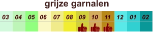 01 02 03 04 07 05 09 10 08 11 12 06 grijze garnalen