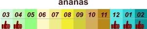 01 02 03 04 07 05 09 10 08 11 12 06 ananas
