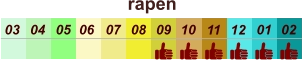 rapen  01 02 03 04 07 05 09 10 08 11 12 06