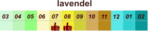 01 02 03 04 07 05 09 10 08 11 12 06 lavendel