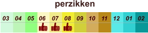 perzikken  01 02 03 04 07 05 09 10 08 11 12 06