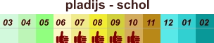 pladijs - schol  01 02 03 04 07 05 09 10 08 11 12 06