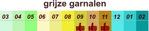 01 02 03 04 07 05 09 10 08 11 12 06 grijze garnalen