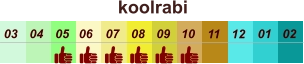 koolrabi  01 02 03 04 07 05 09 10 08 11 12 06