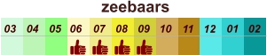 01 02 03 04 07 05 09 10 08 11 12 06 zeebaars