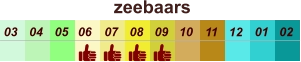 01 02 03 04 07 05 09 10 08 11 12 06 zeebaars