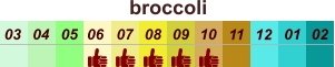 01 02 03 04 07 05 09 10 08 11 12 06 broccoli