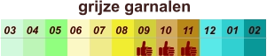 01 02 03 04 07 05 09 10 08 11 12 06 grijze garnalen