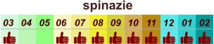 spinazie  01 02 03 04 07 05 09 10 08 11 12 06