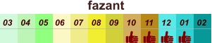 01 02 03 04 07 05 09 10 08 11 12 06 fazant