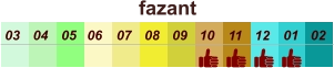 01 02 03 04 07 05 09 10 08 11 12 06 fazant