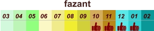 01 02 03 04 07 05 09 10 08 11 12 06 fazant