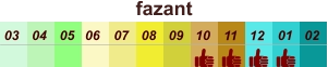 01 02 03 04 07 05 09 10 08 11 12 06 fazant