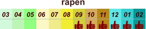 rapen  01 02 03 04 07 05 09 10 08 11 12 06