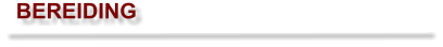 BEREIDING