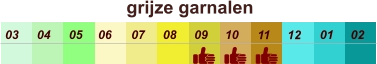 01 02 03 04 07 05 09 10 08 11 12 06 grijze garnalen