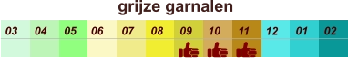 01 02 03 04 07 05 09 10 08 11 12 06 grijze garnalen