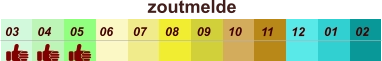 01 02 03 04 07 05 09 10 08 11 12 06 zoutmelde
