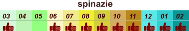 spinazie  01 02 03 04 07 05 09 10 08 11 12 06