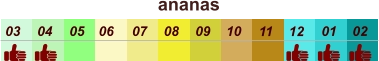 01 02 03 04 07 05 09 10 08 11 12 06 ananas