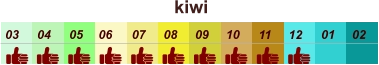 01 02 03 04 07 05 09 10 08 11 12 06 kiwi